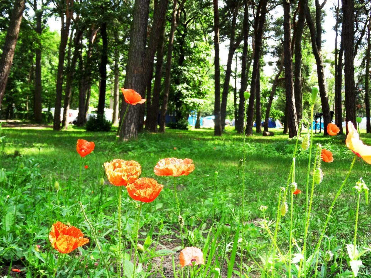 Sopot 34 Przy Plazy Villa Ngoại thất bức ảnh